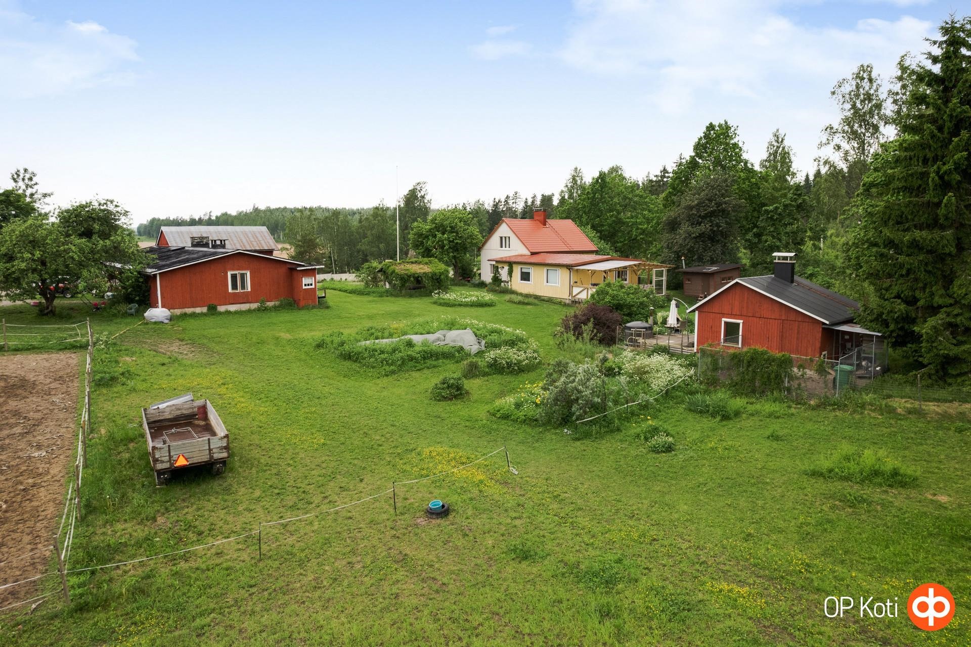 Kohdekuva 25