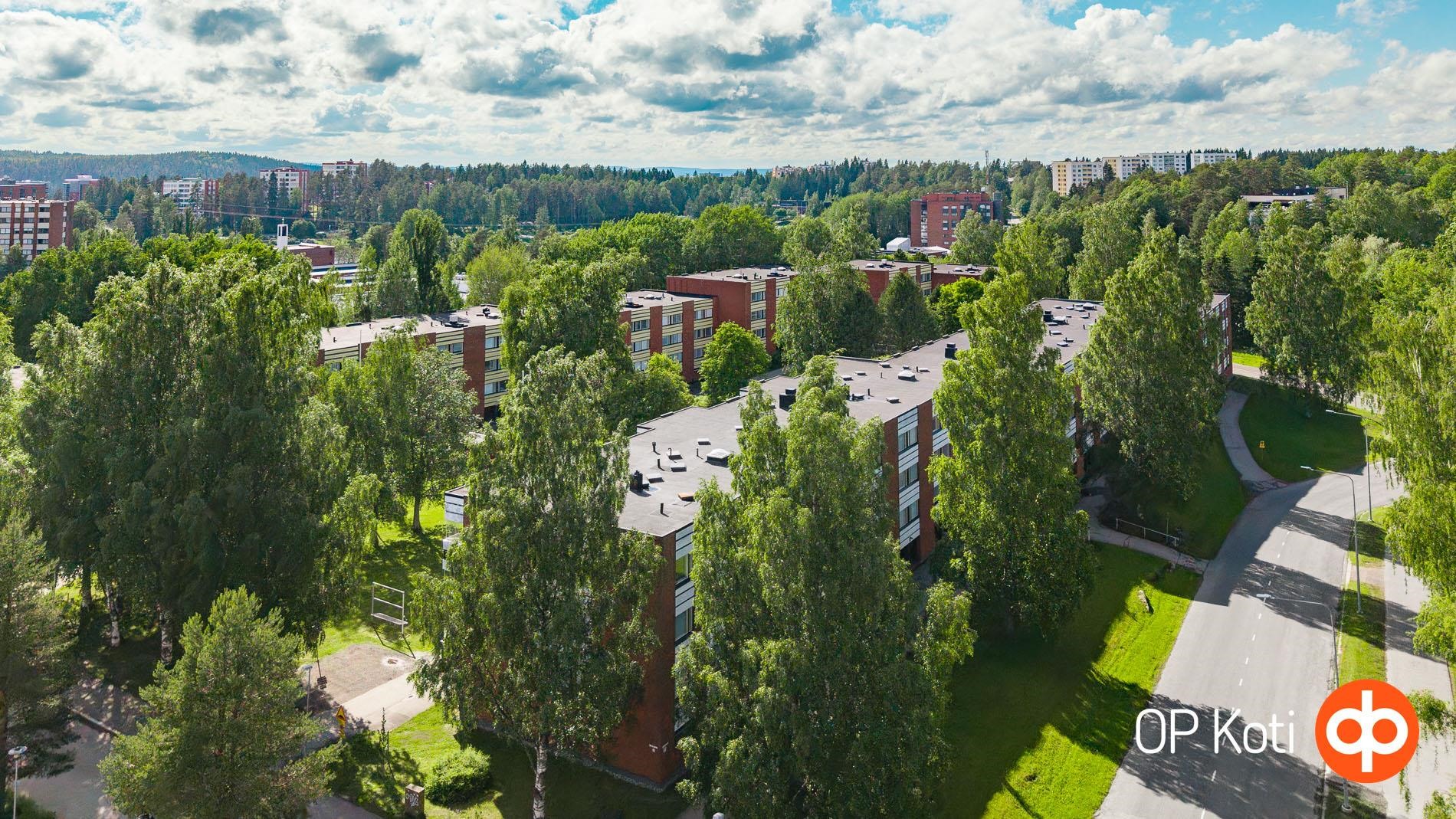 Kohdekuva 36
