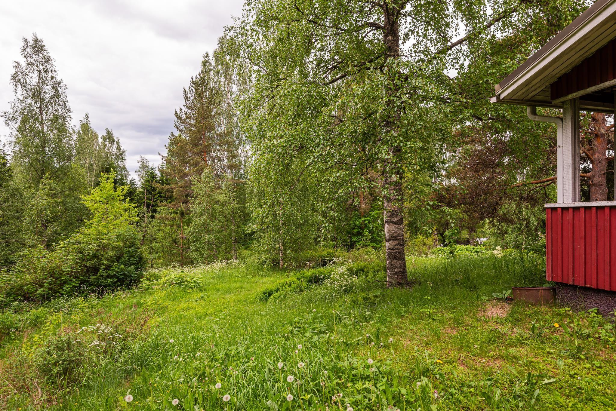 Kohdekuva 19