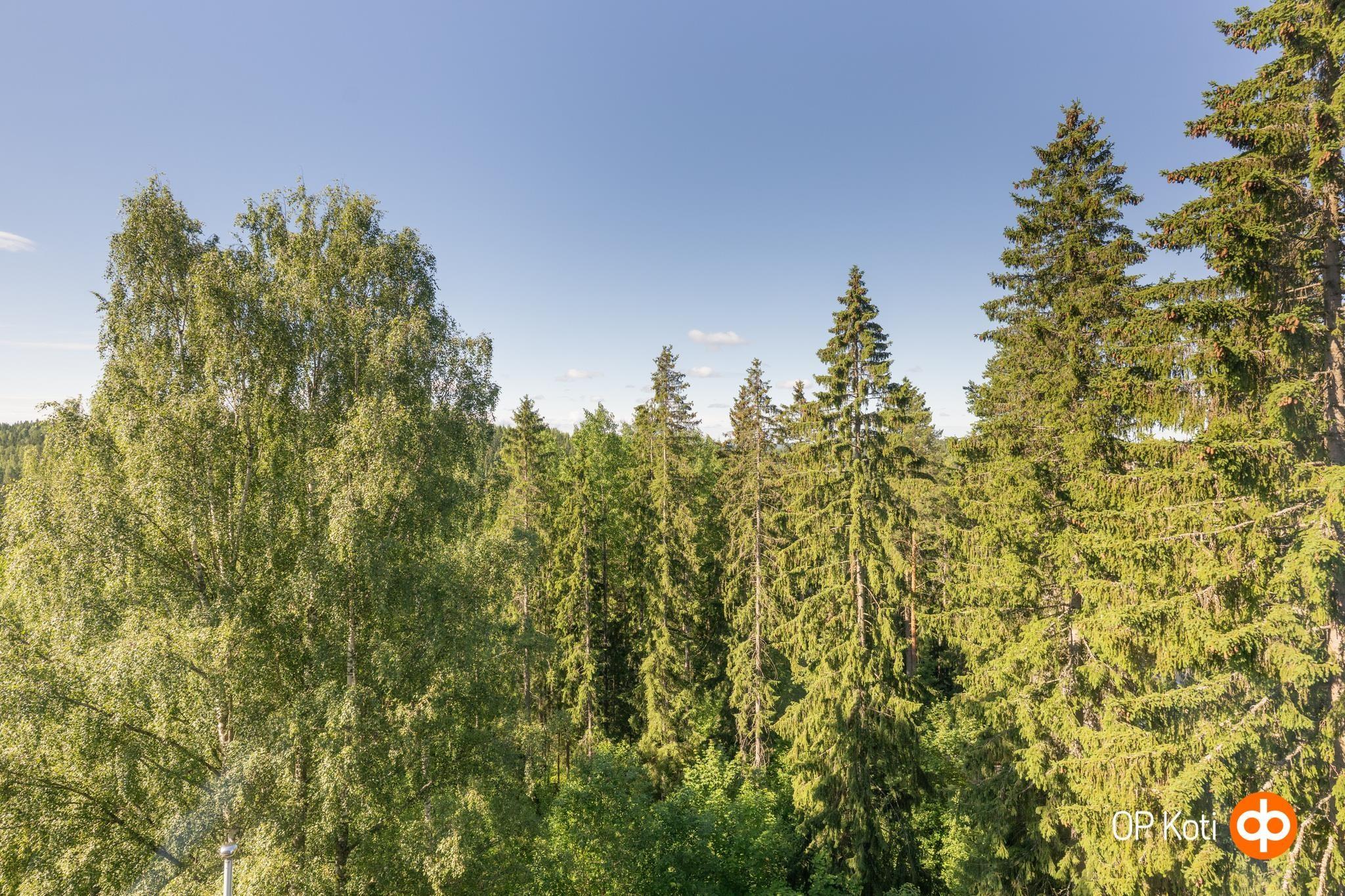 Kohdekuva 13