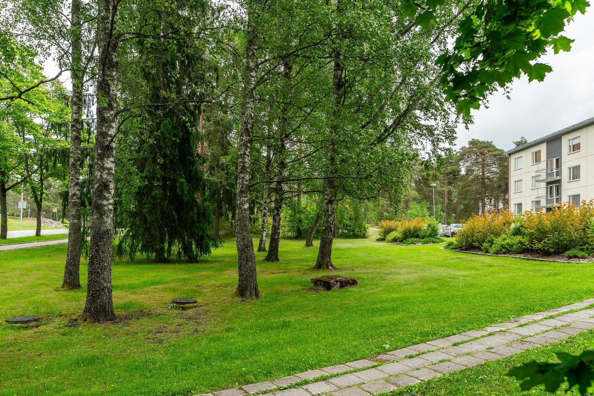 Kohdekuva 23