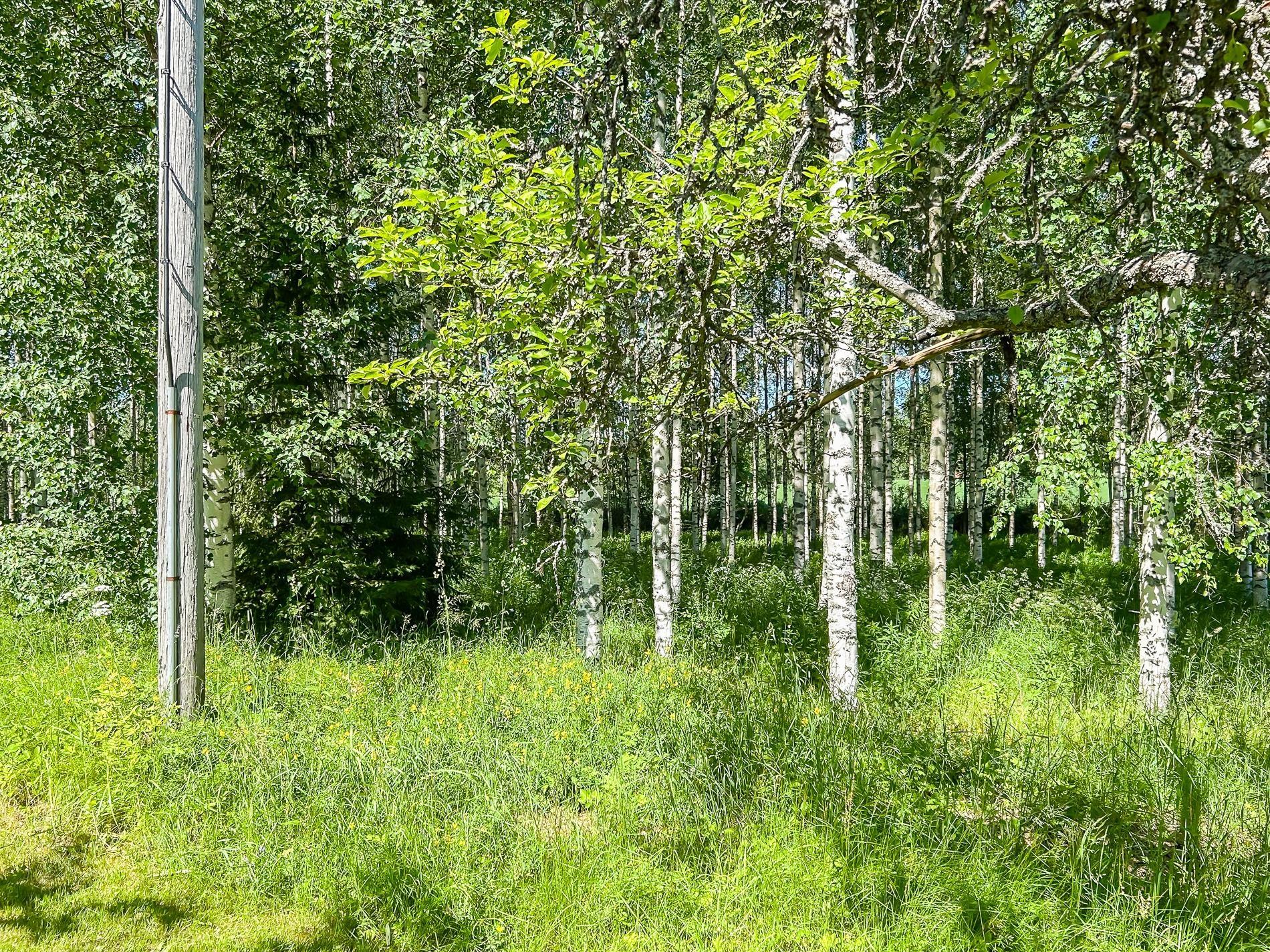 Kohdekuva 21