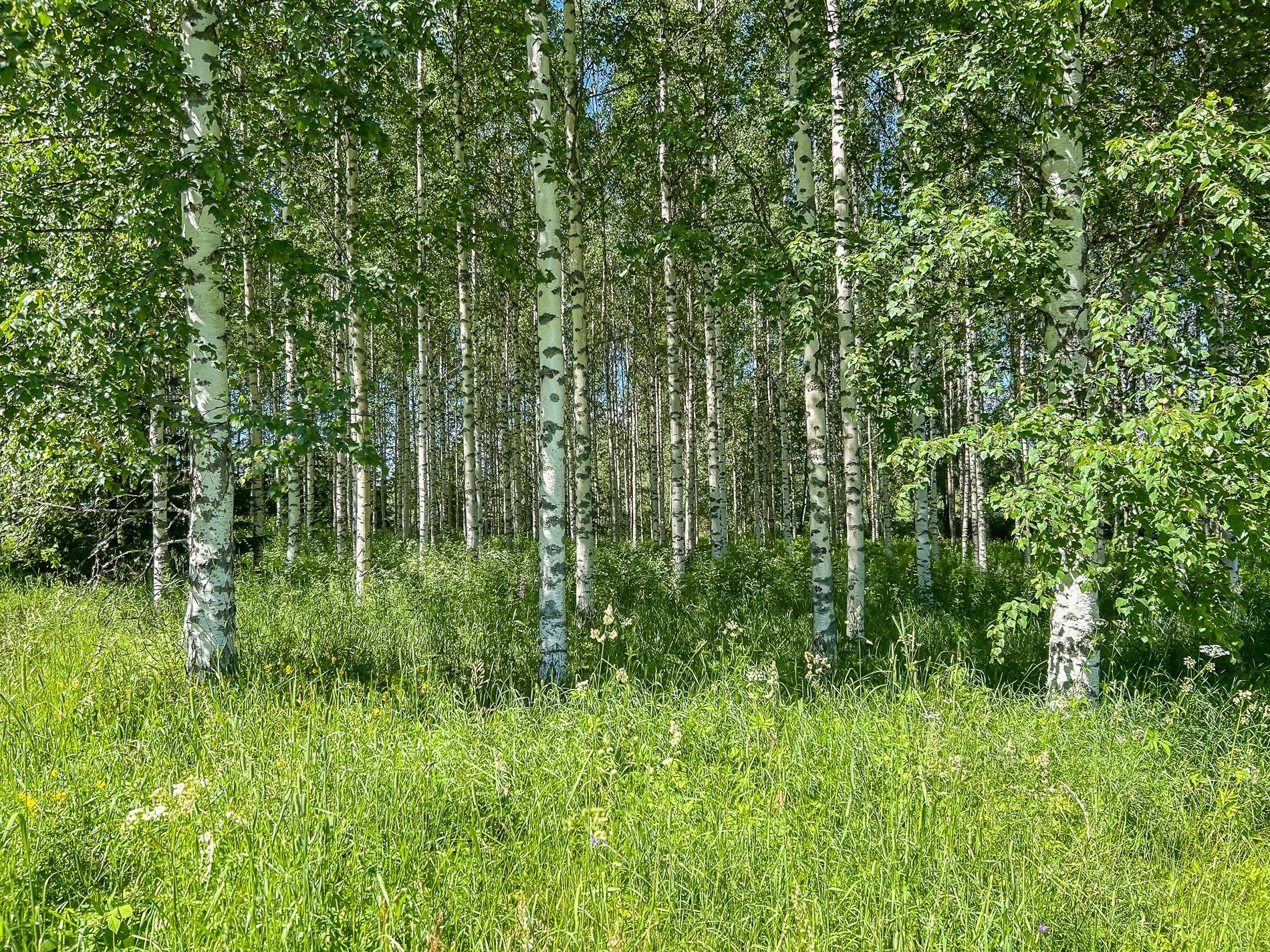 Kohdekuva 23