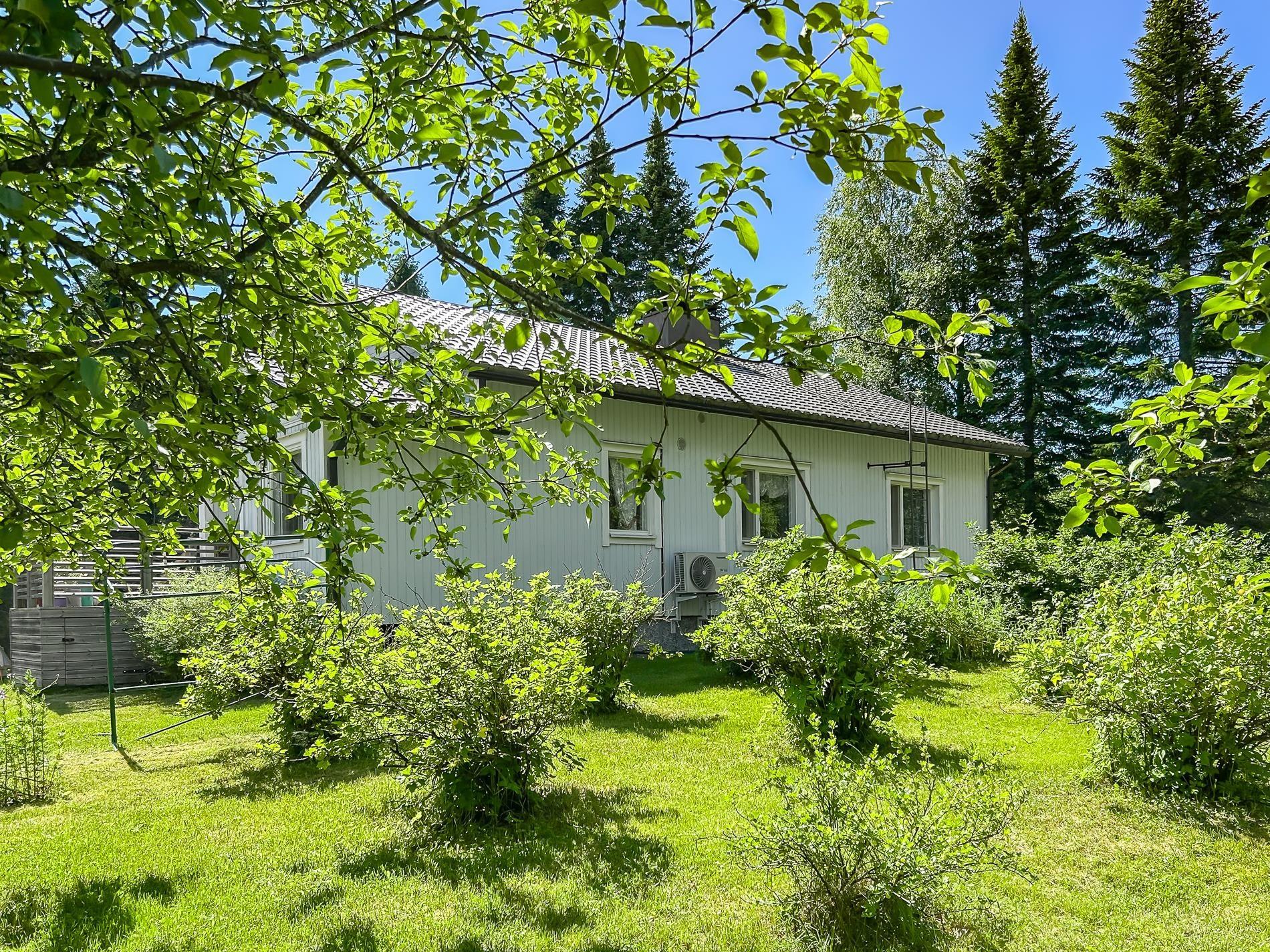 Kohdekuva 22