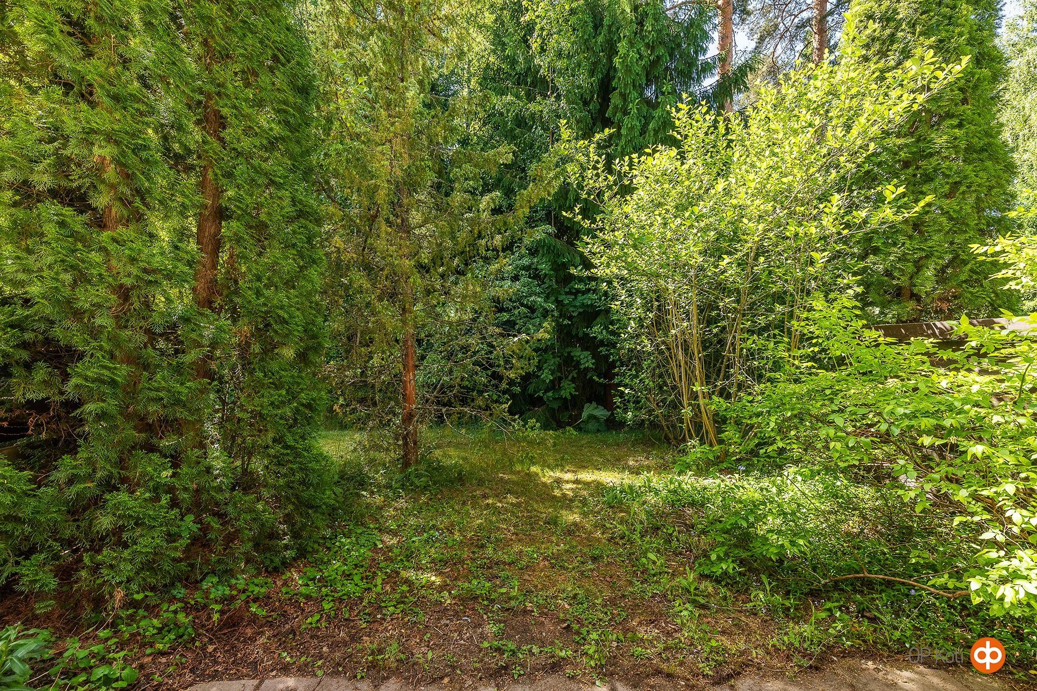 Kohdekuva 40