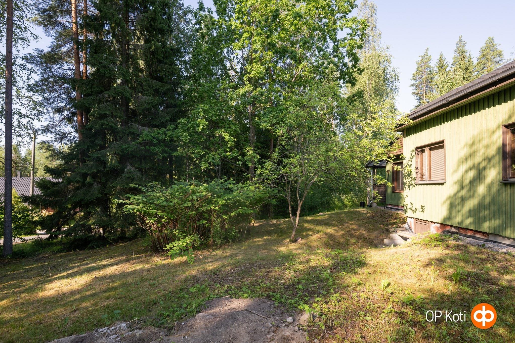 Kohdekuva 24