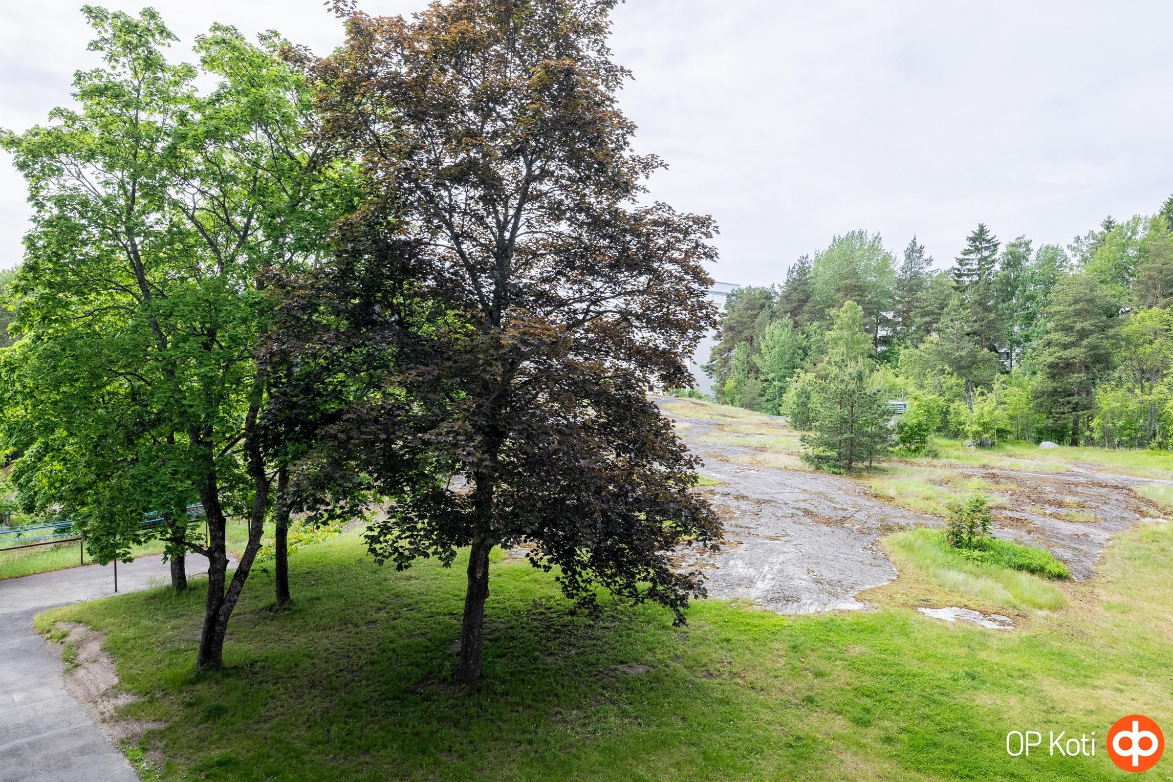 Kohdekuva 10
