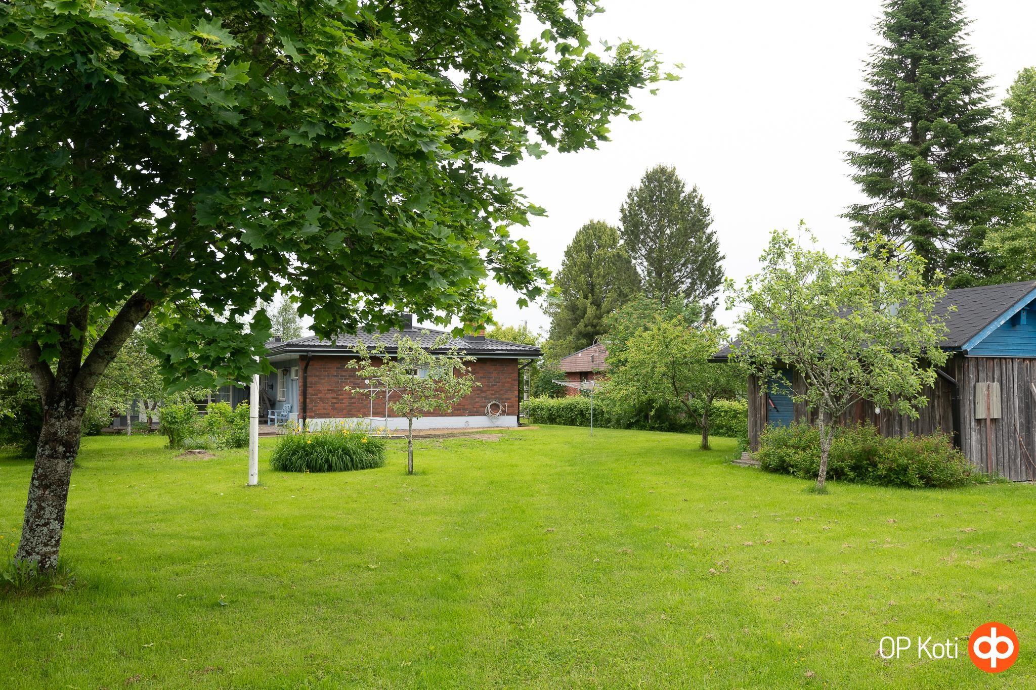 Kohdekuva 21