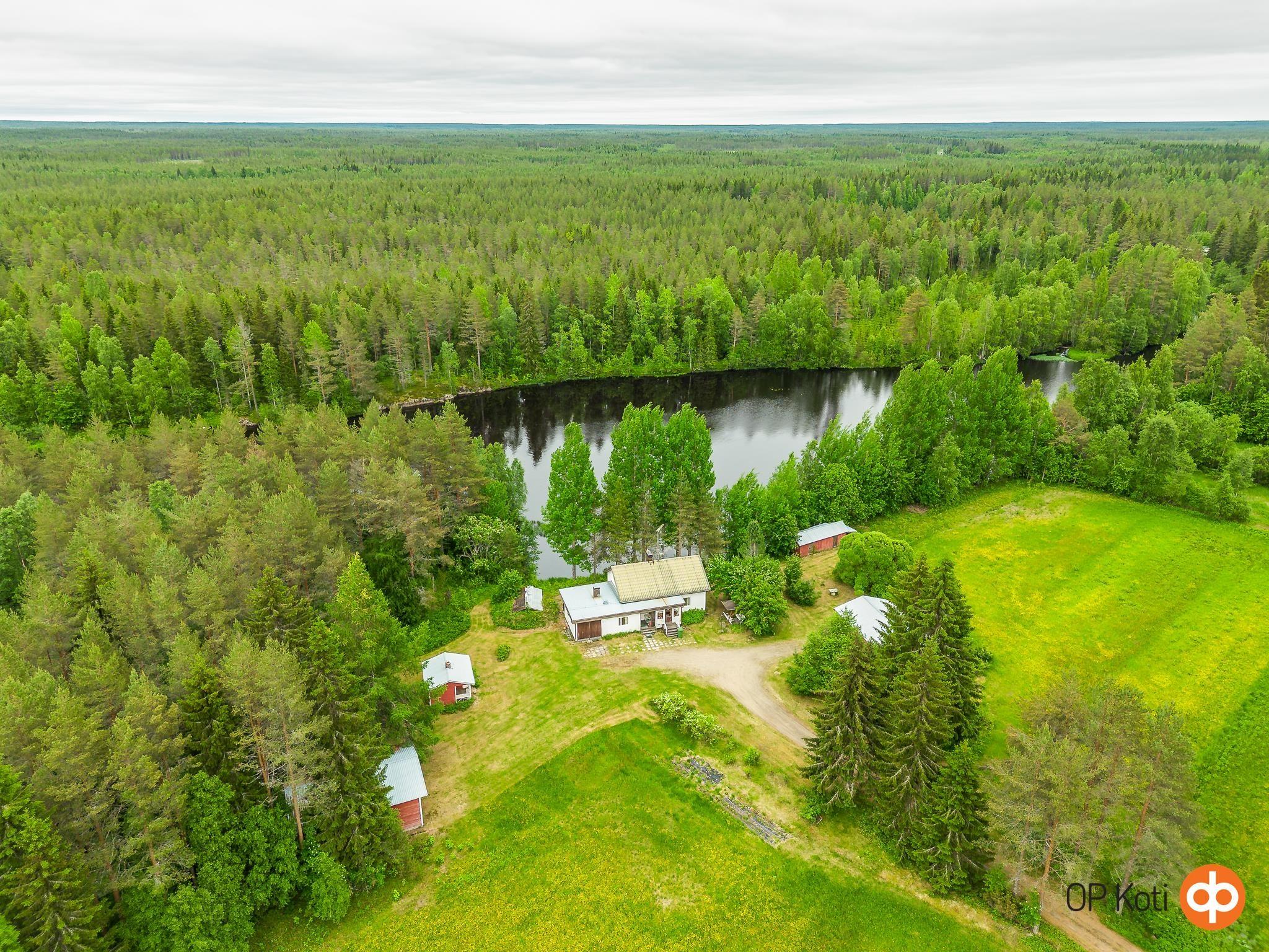 Kohdekuva 1
