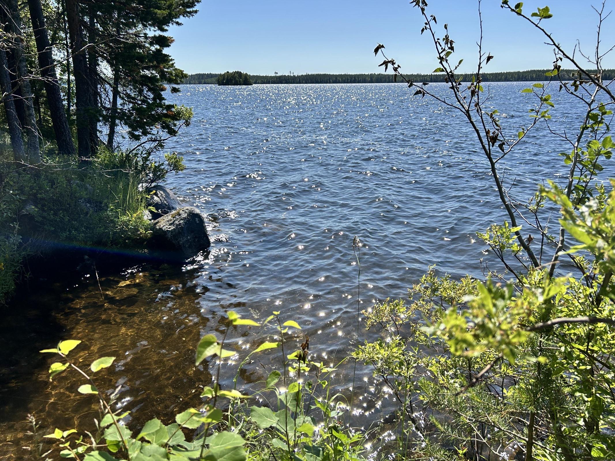 Kohdekuva 12