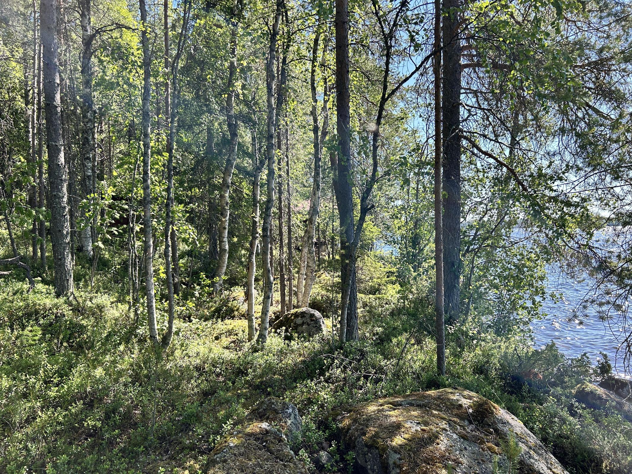 Kohdekuva 17