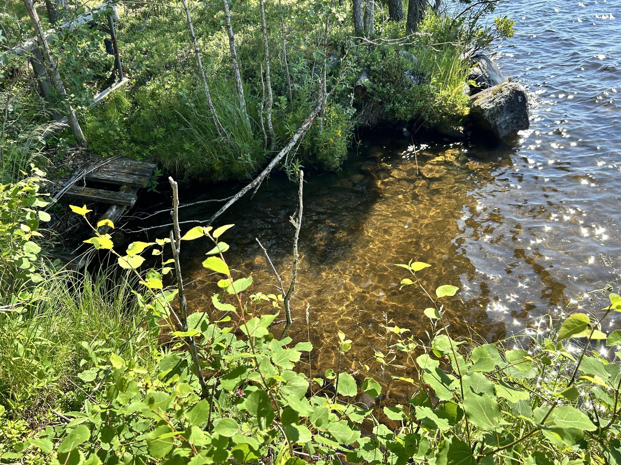 Kohdekuva 13