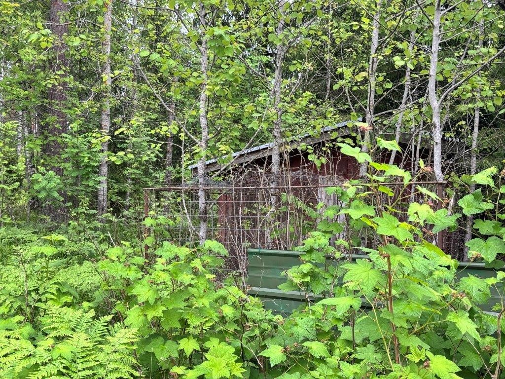 Kohdekuva 35