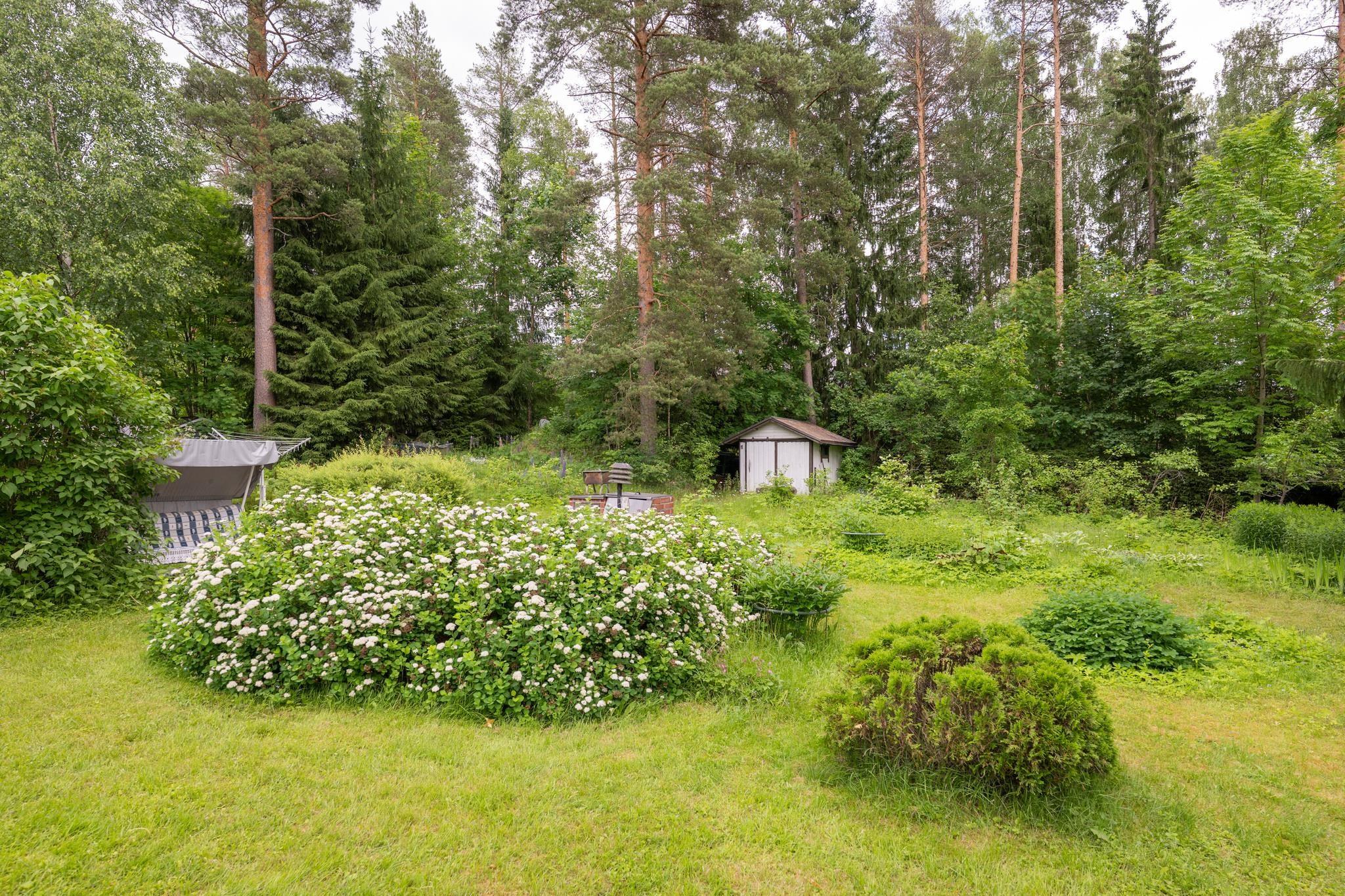Kohdekuva 29