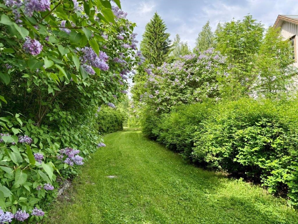 Kohdekuva 23
