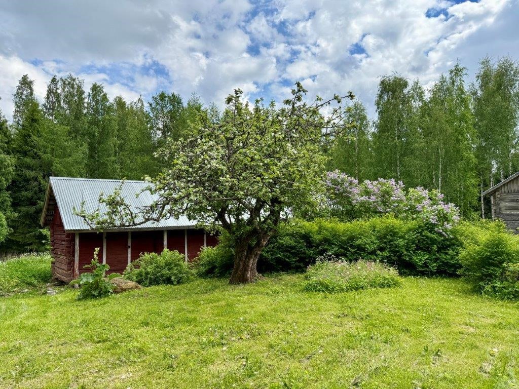 Kohdekuva 18