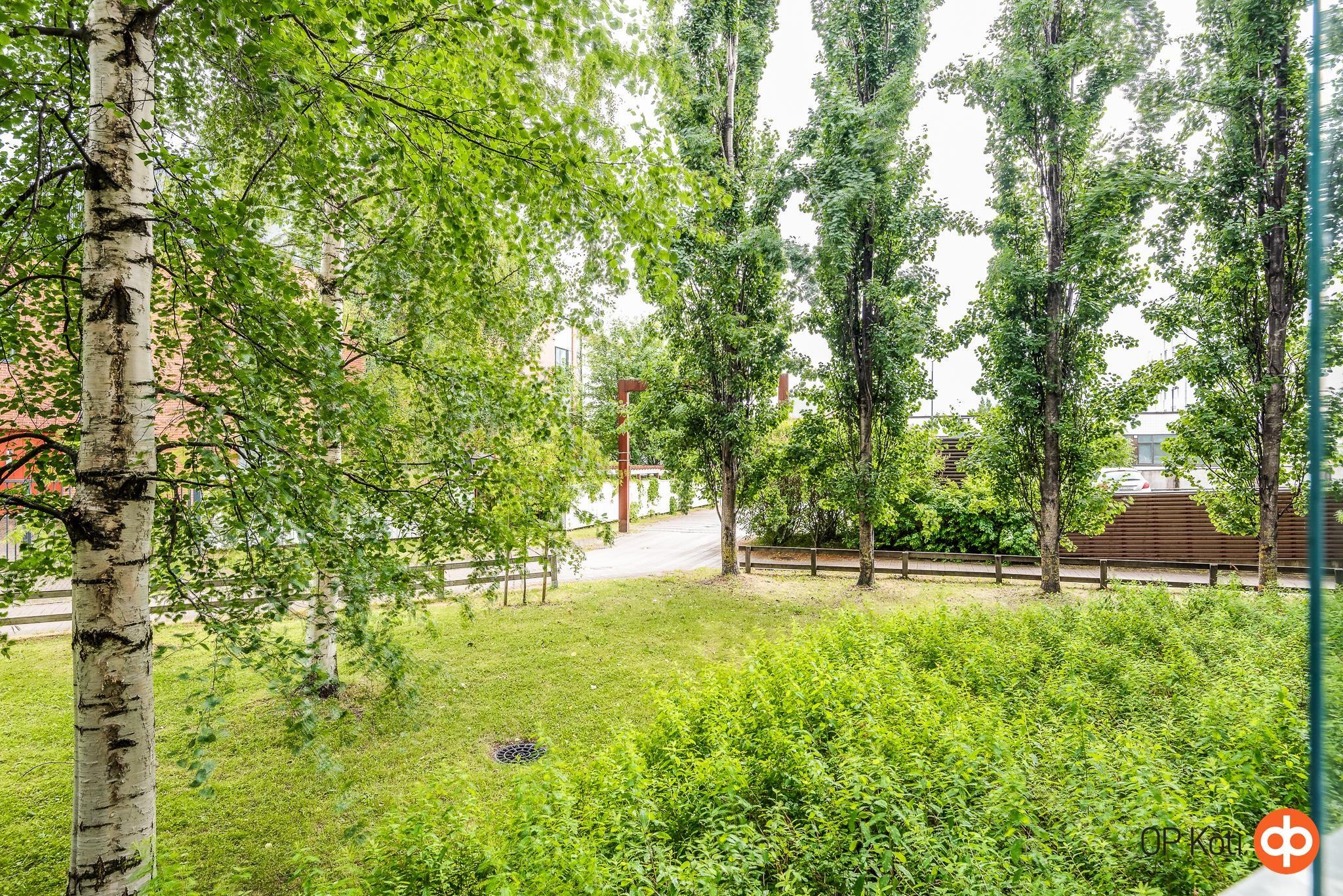 Kohdekuva 12