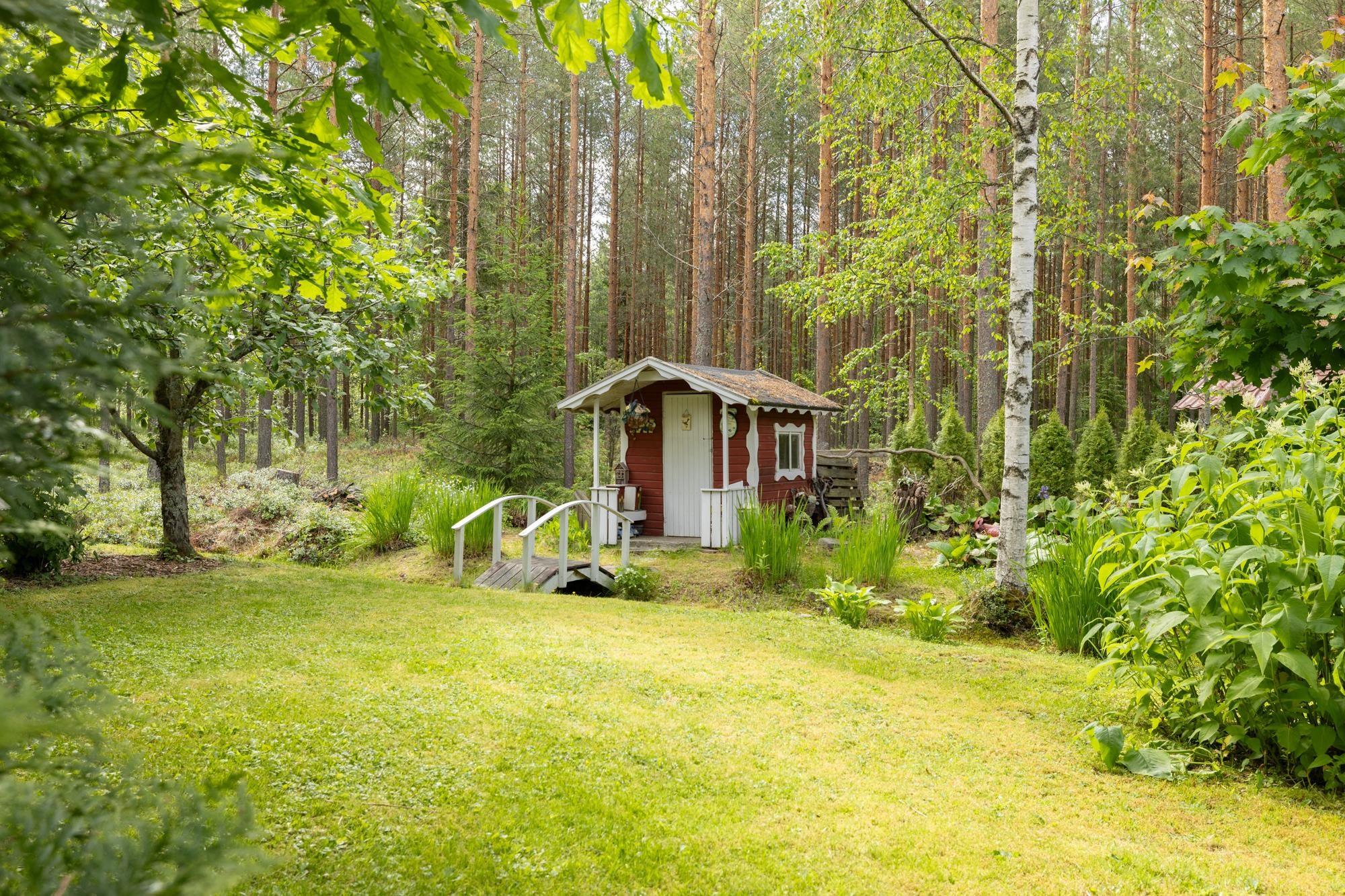 Kohdekuva 50