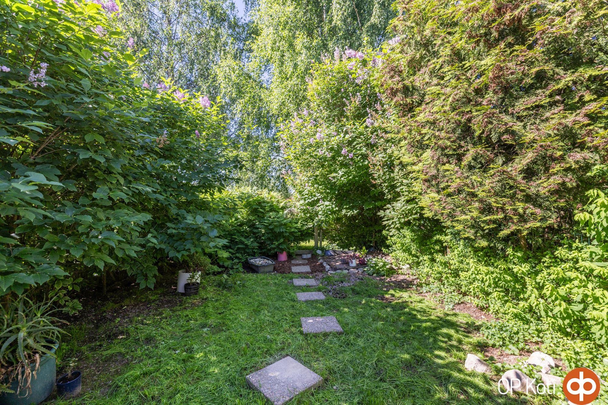 Kohdekuva 12