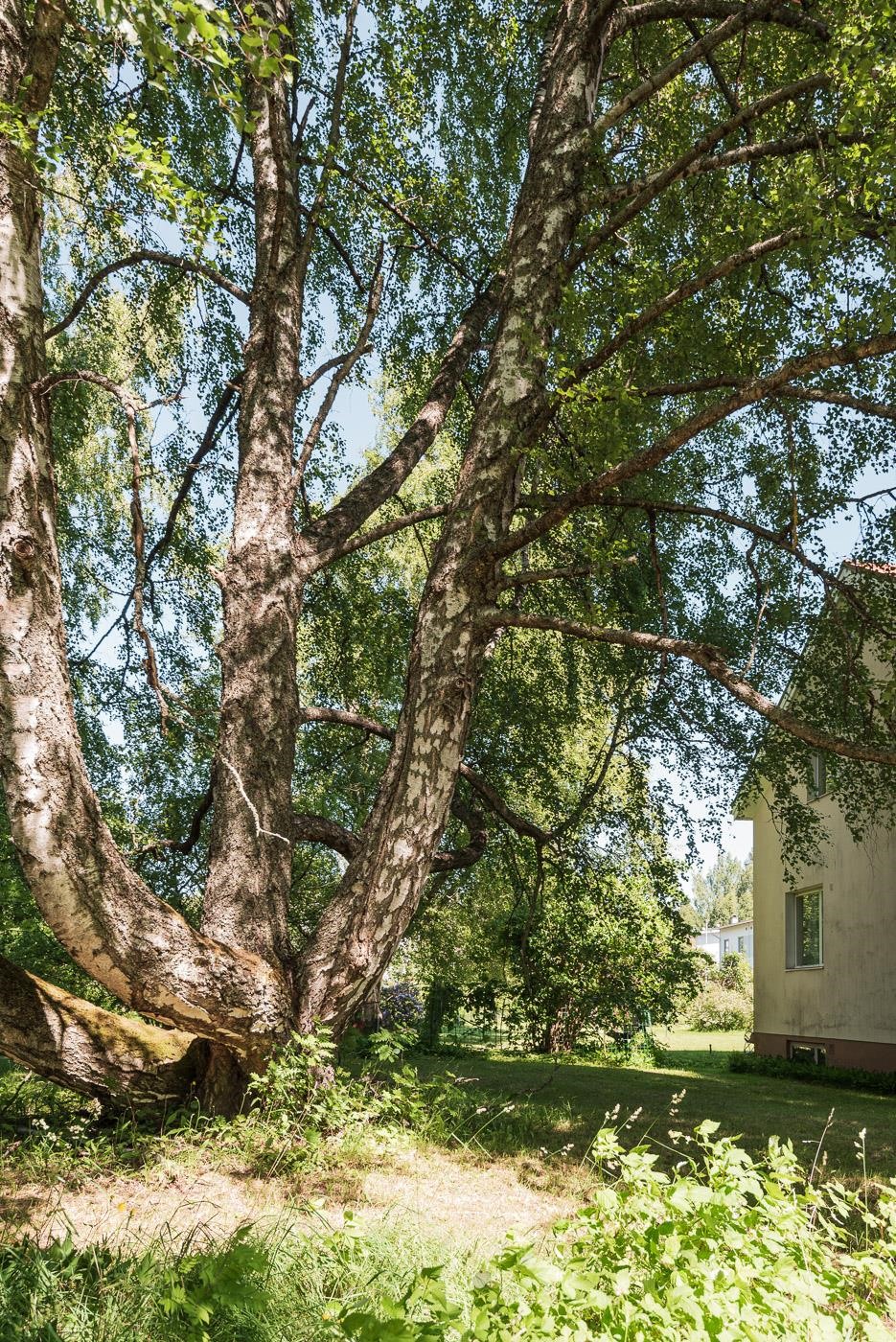 Kohdekuva 31
