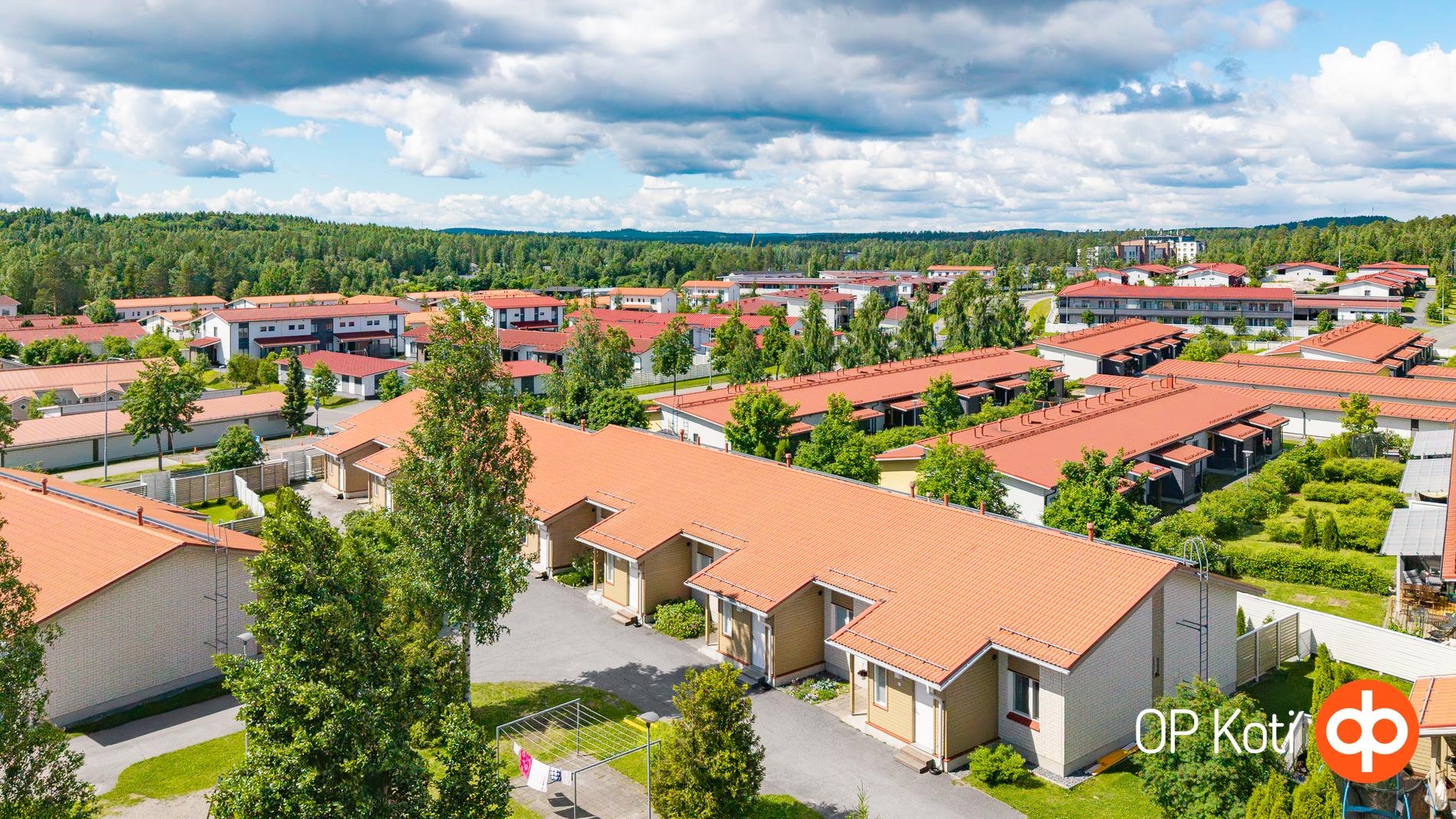 Kohdekuva 31