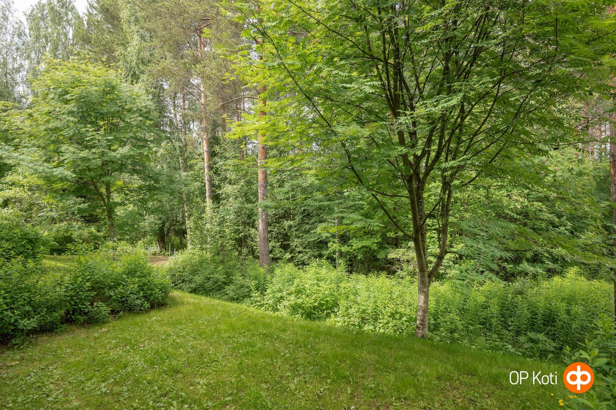 Kohdekuva 30