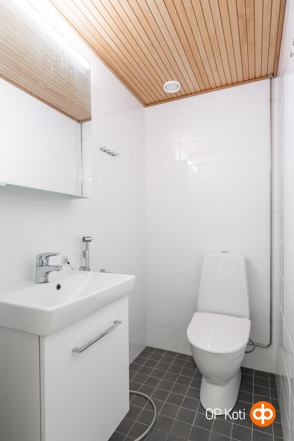 Erillinen wc