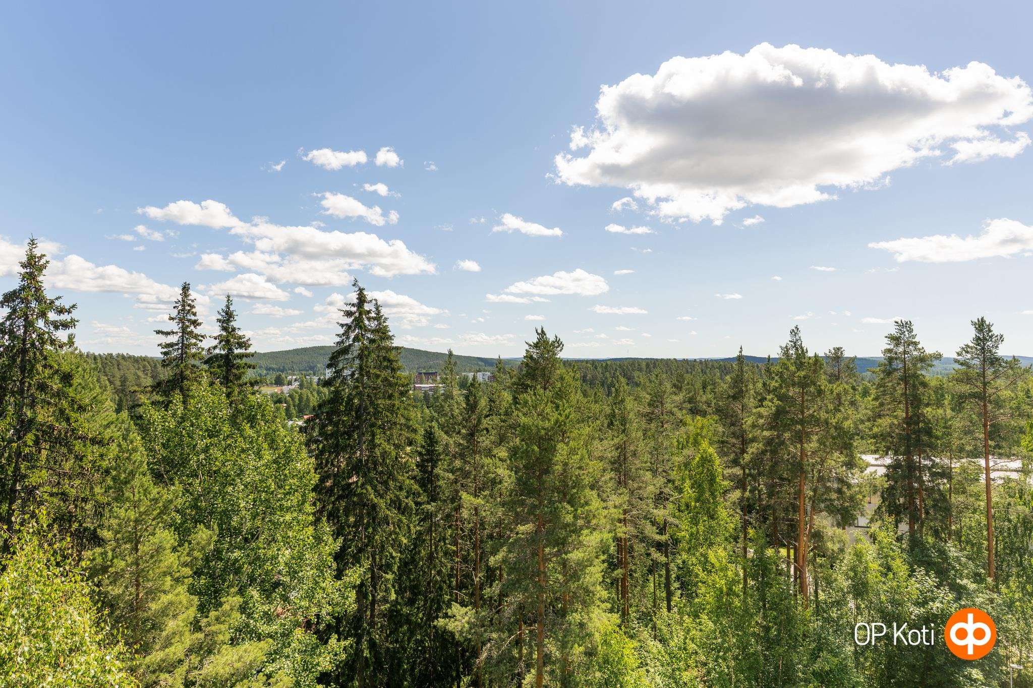 Kohdekuva 16
