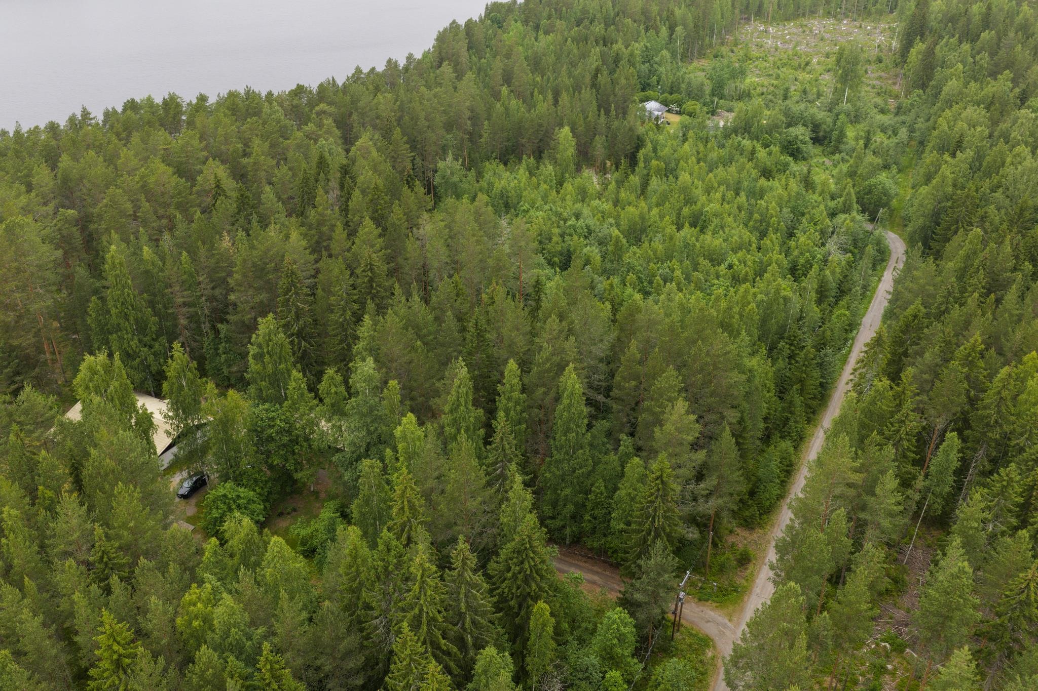Kohdekuva 34