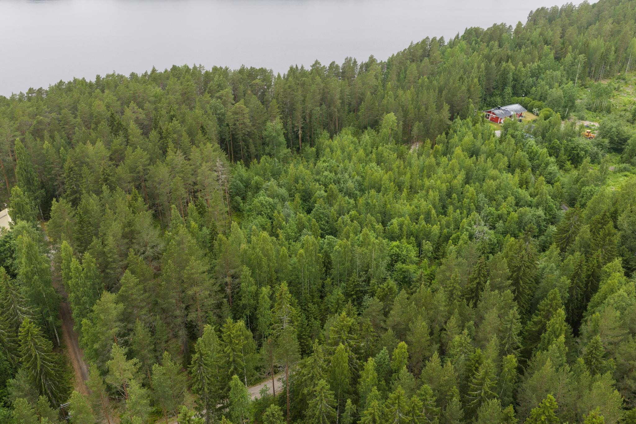 Kohdekuva 33