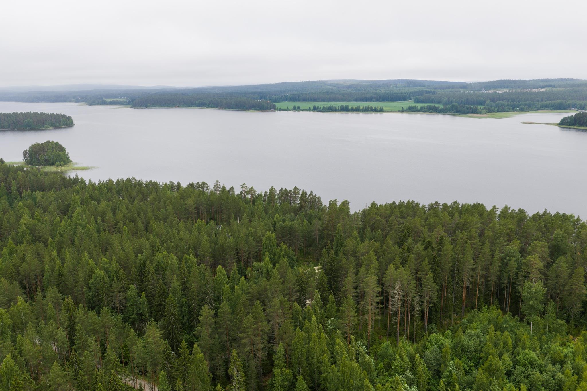 Kohdekuva 7