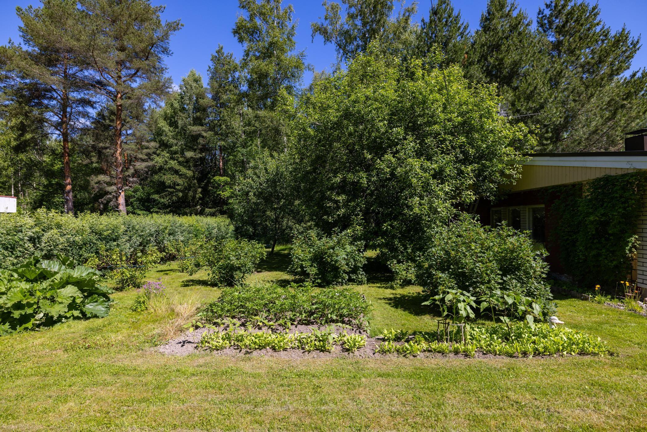 Kohdekuva 26
