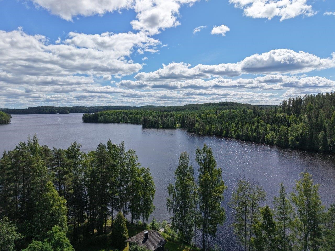 Kohdekuva 49