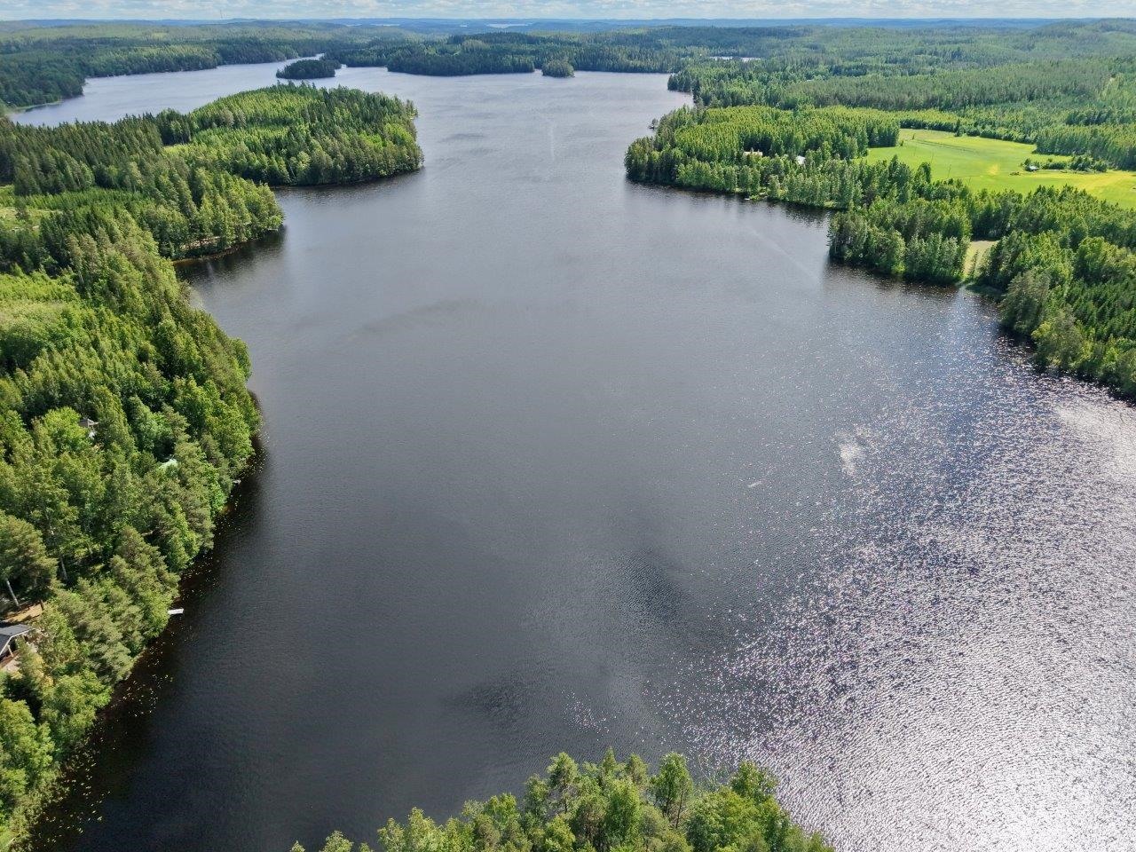 Kohdekuva 50