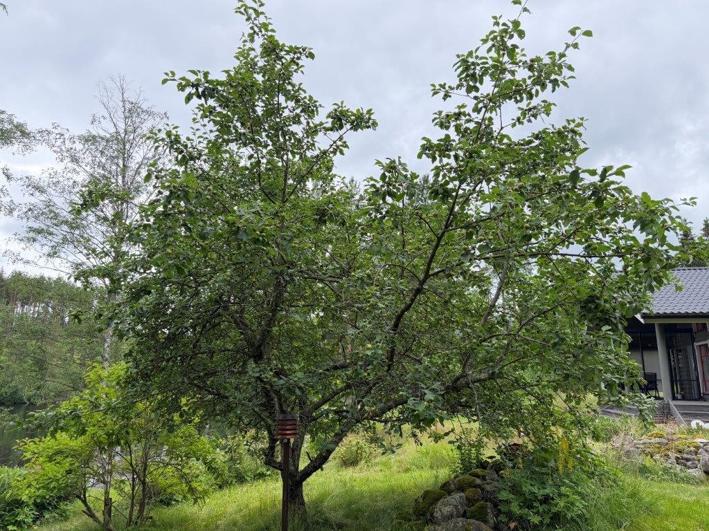 Kohdekuva 3