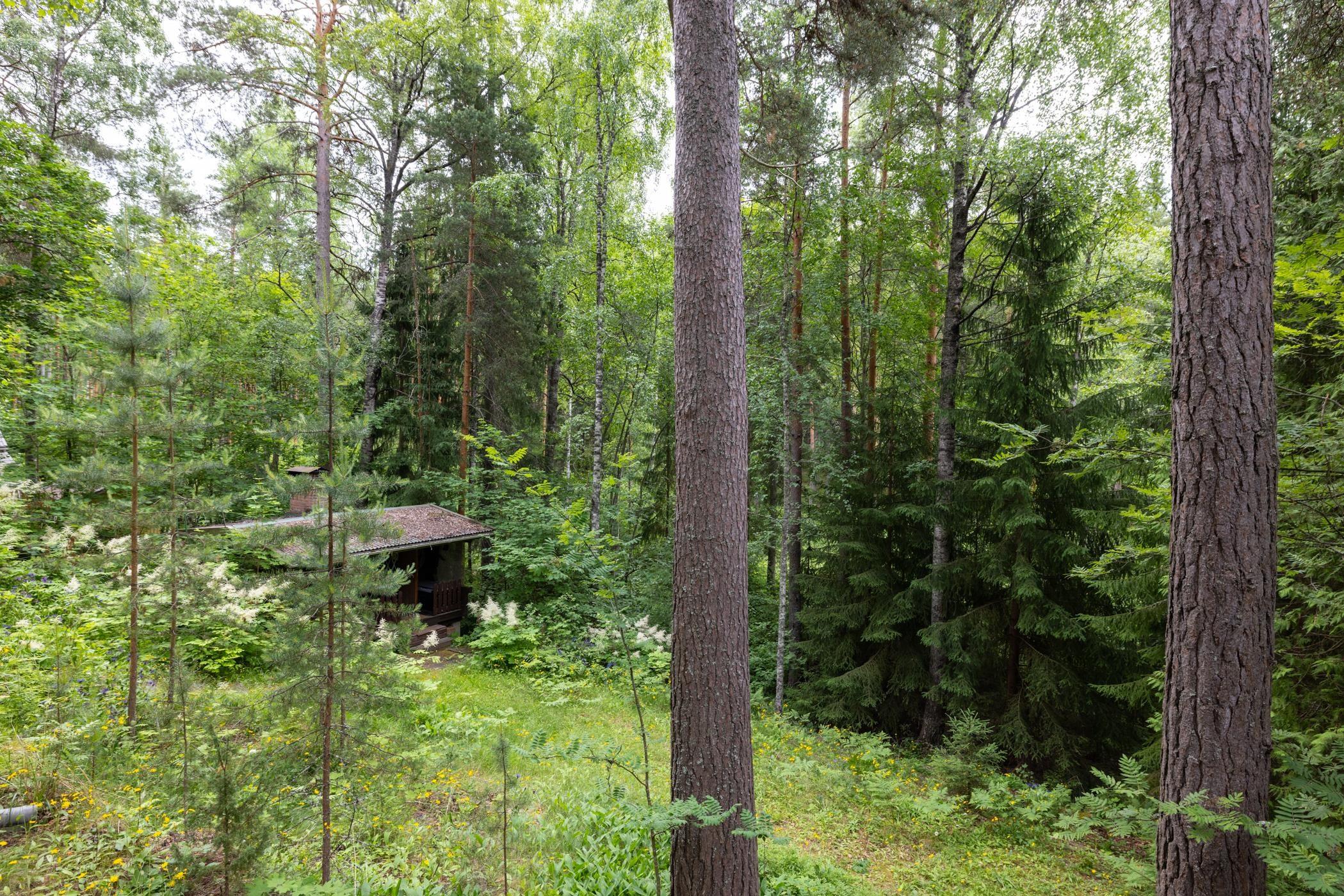 Kohdekuva 27