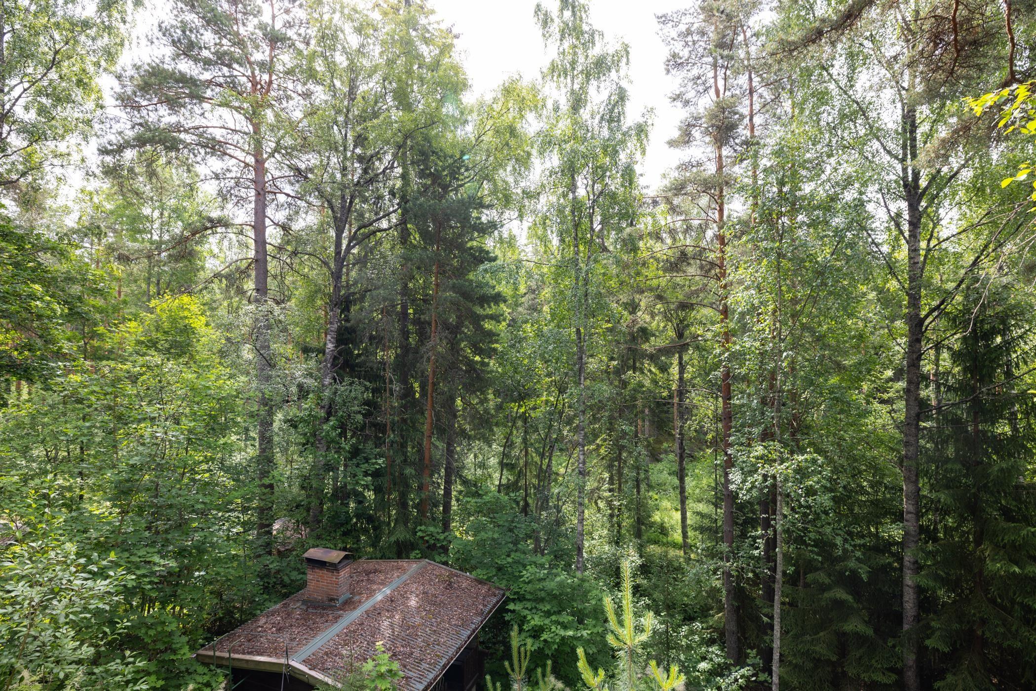 Kohdekuva 18
