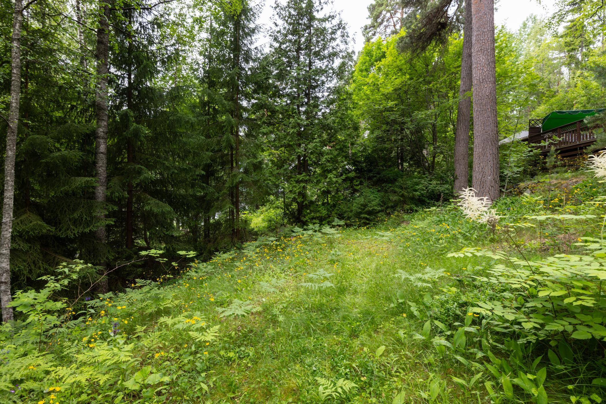 Kohdekuva 28