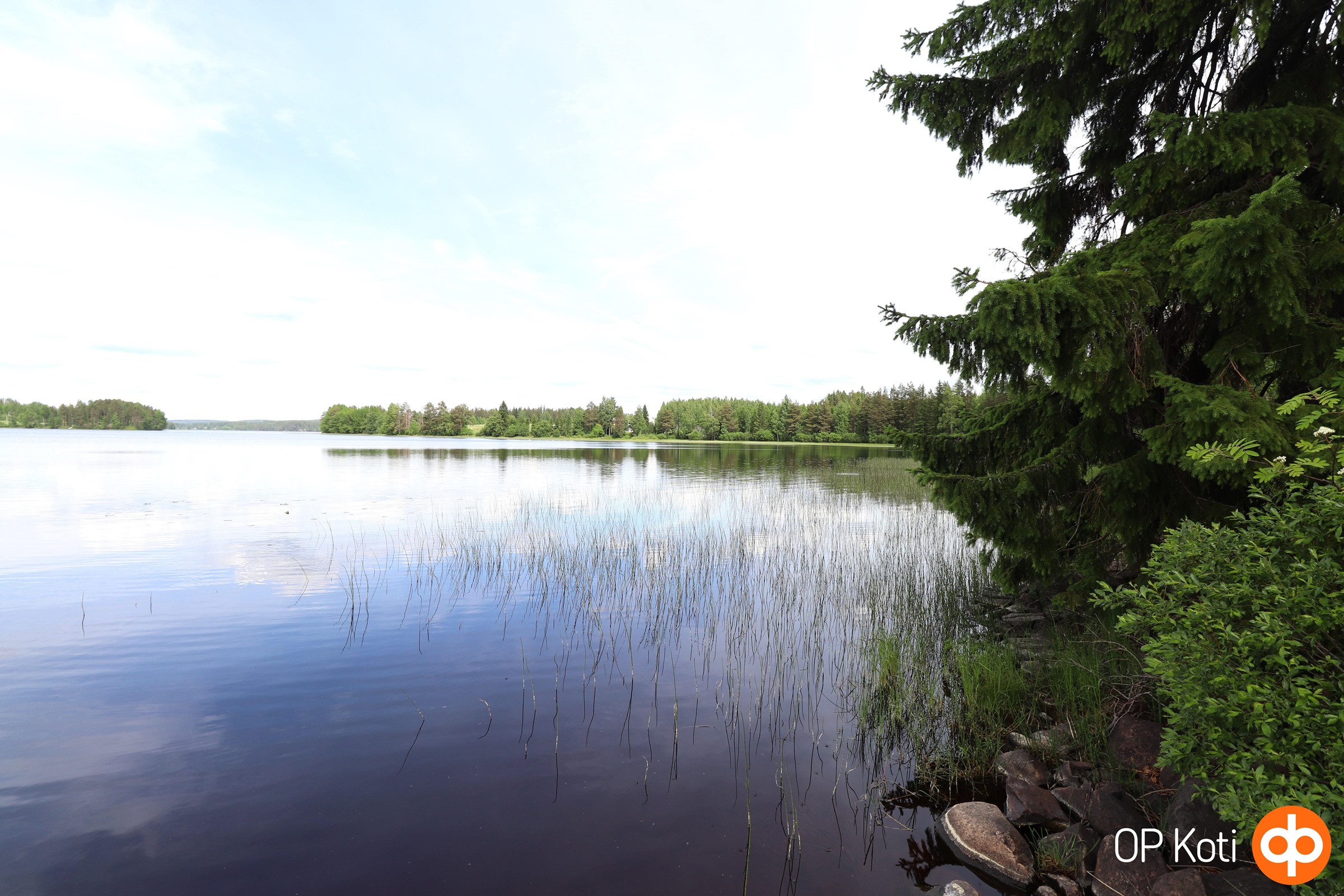 Järvimaisema