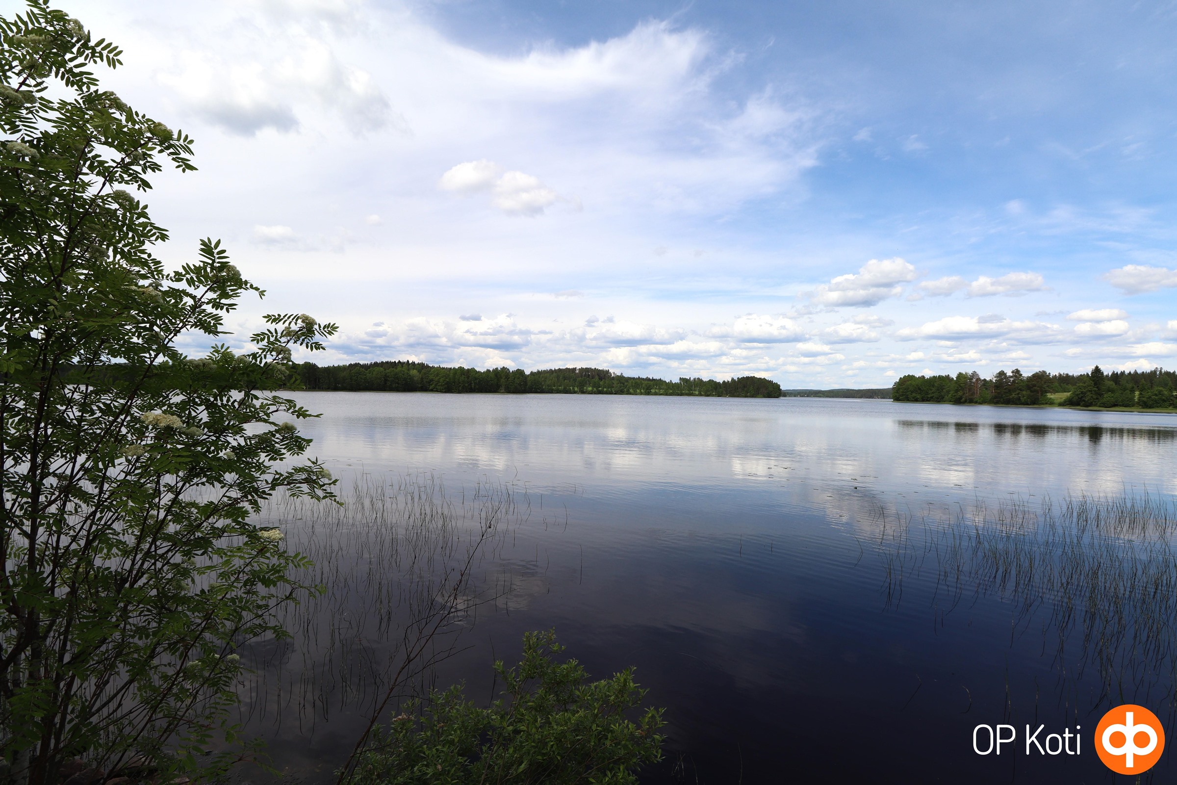 Järvimaisema