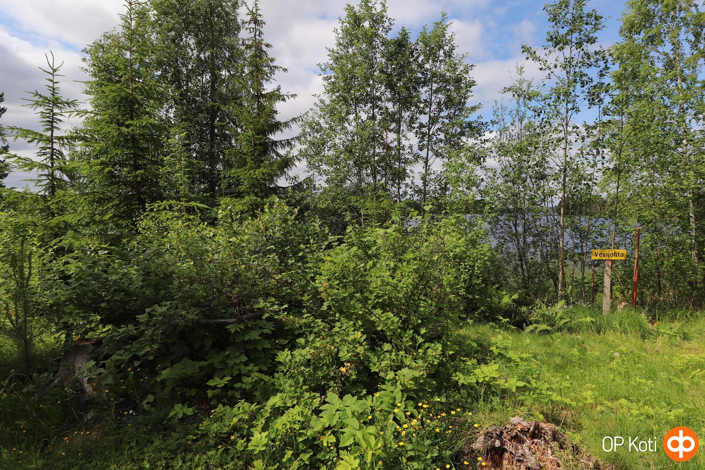 Pihapiiriä