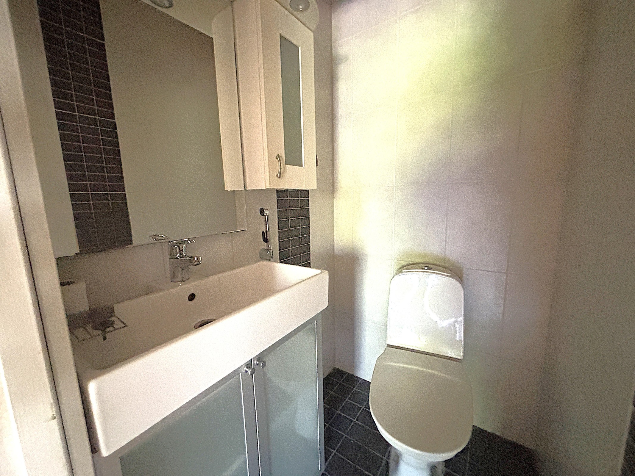 Erillinen wc