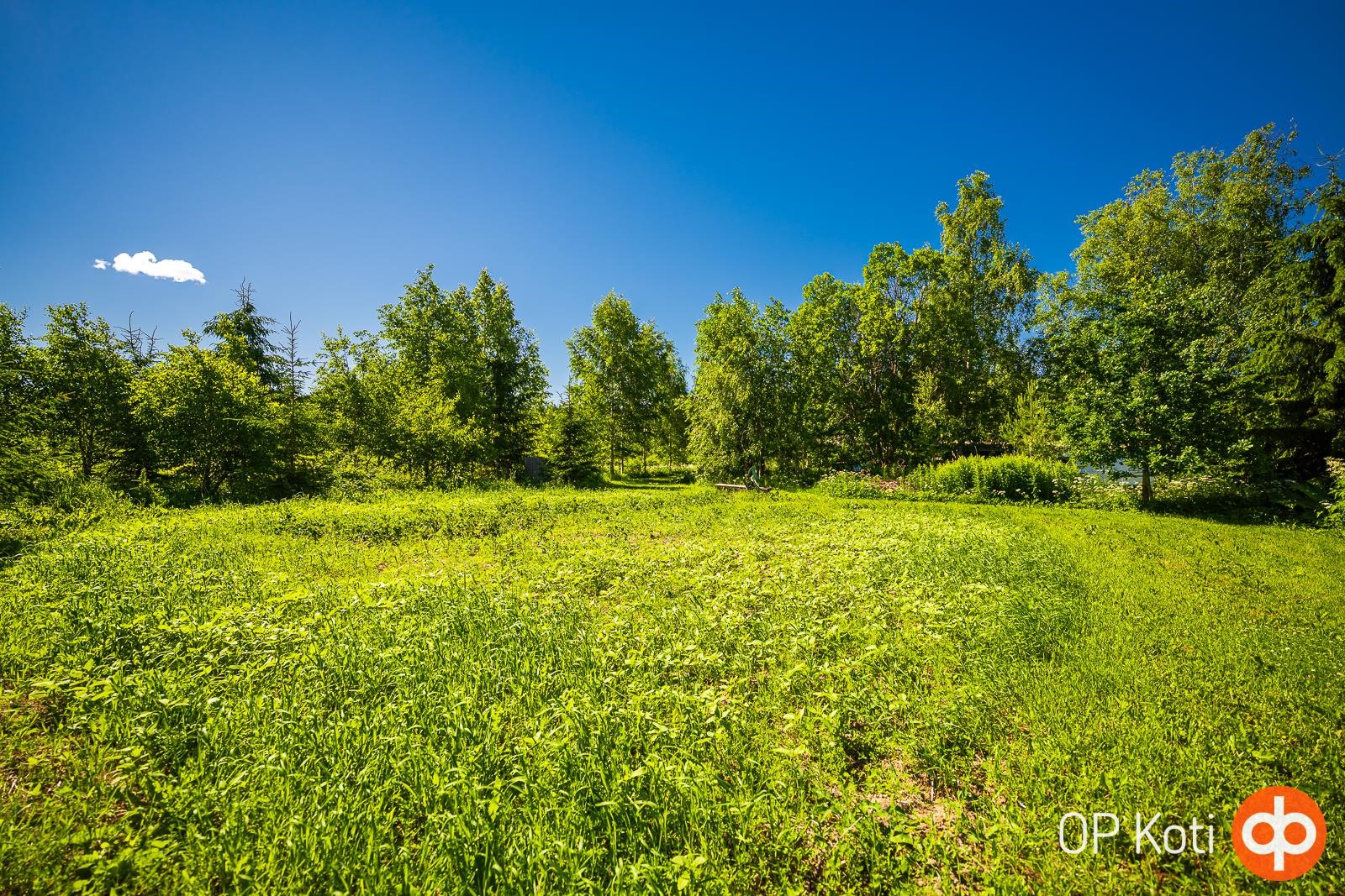 Kohdekuva 19