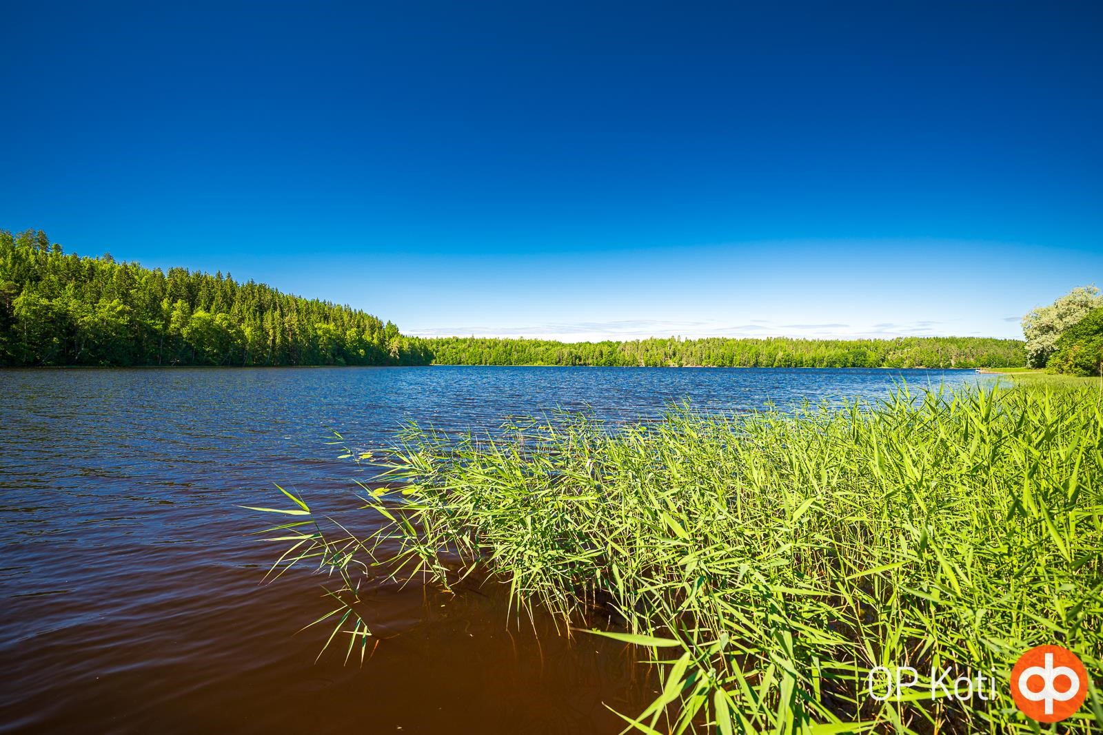 Kohdekuva 17