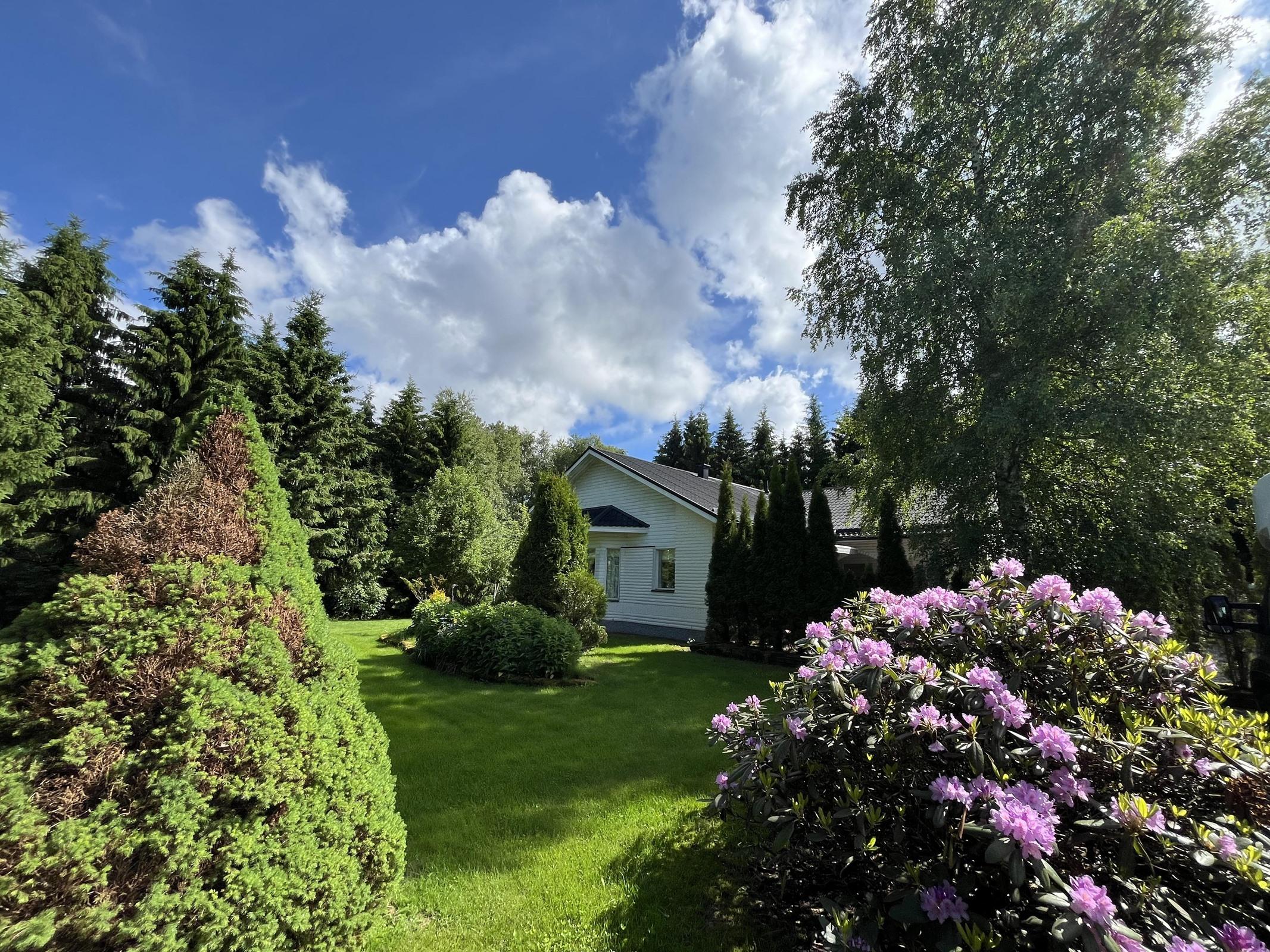 Kohdekuva 20