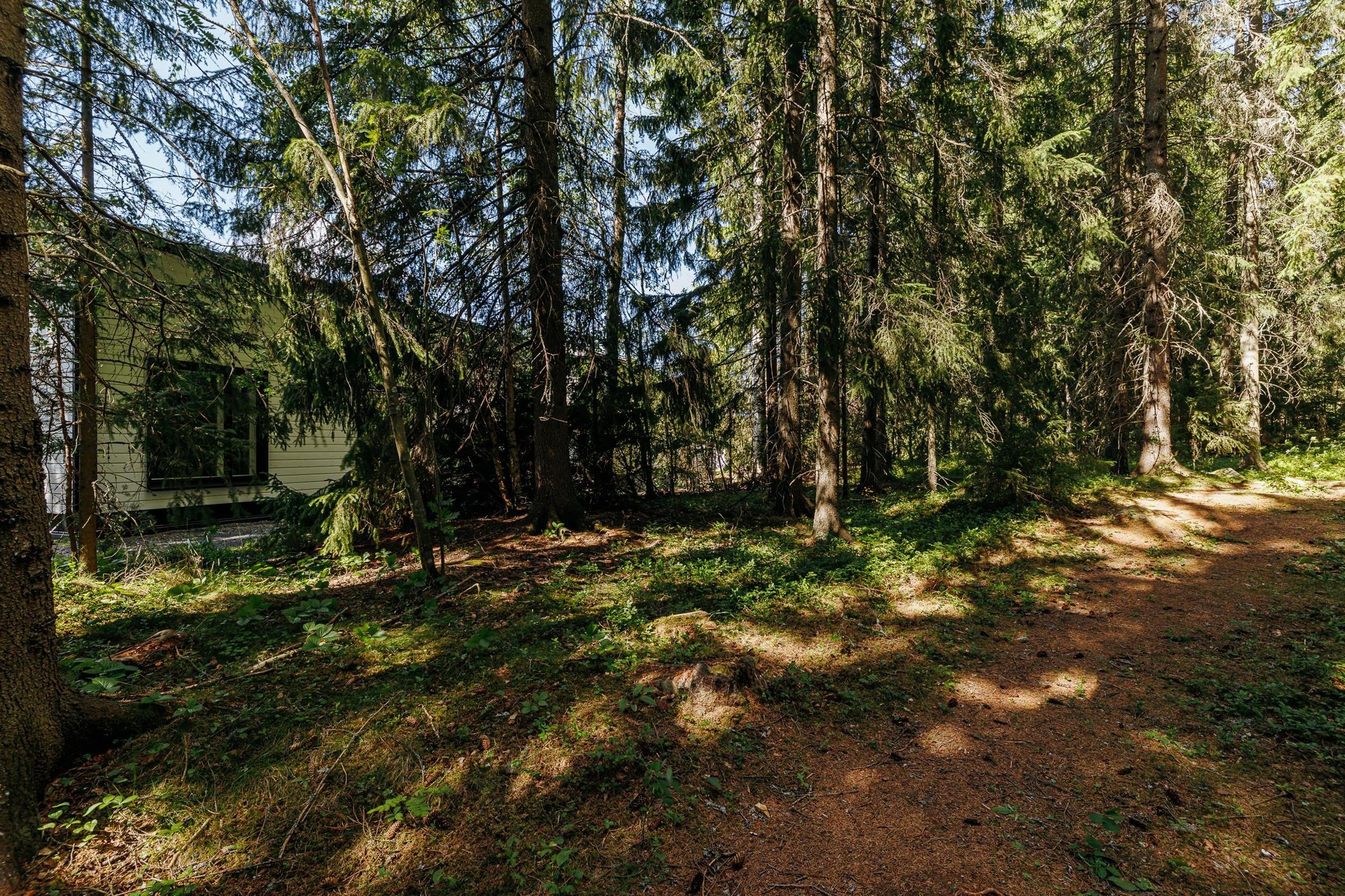 Kohdekuva 26