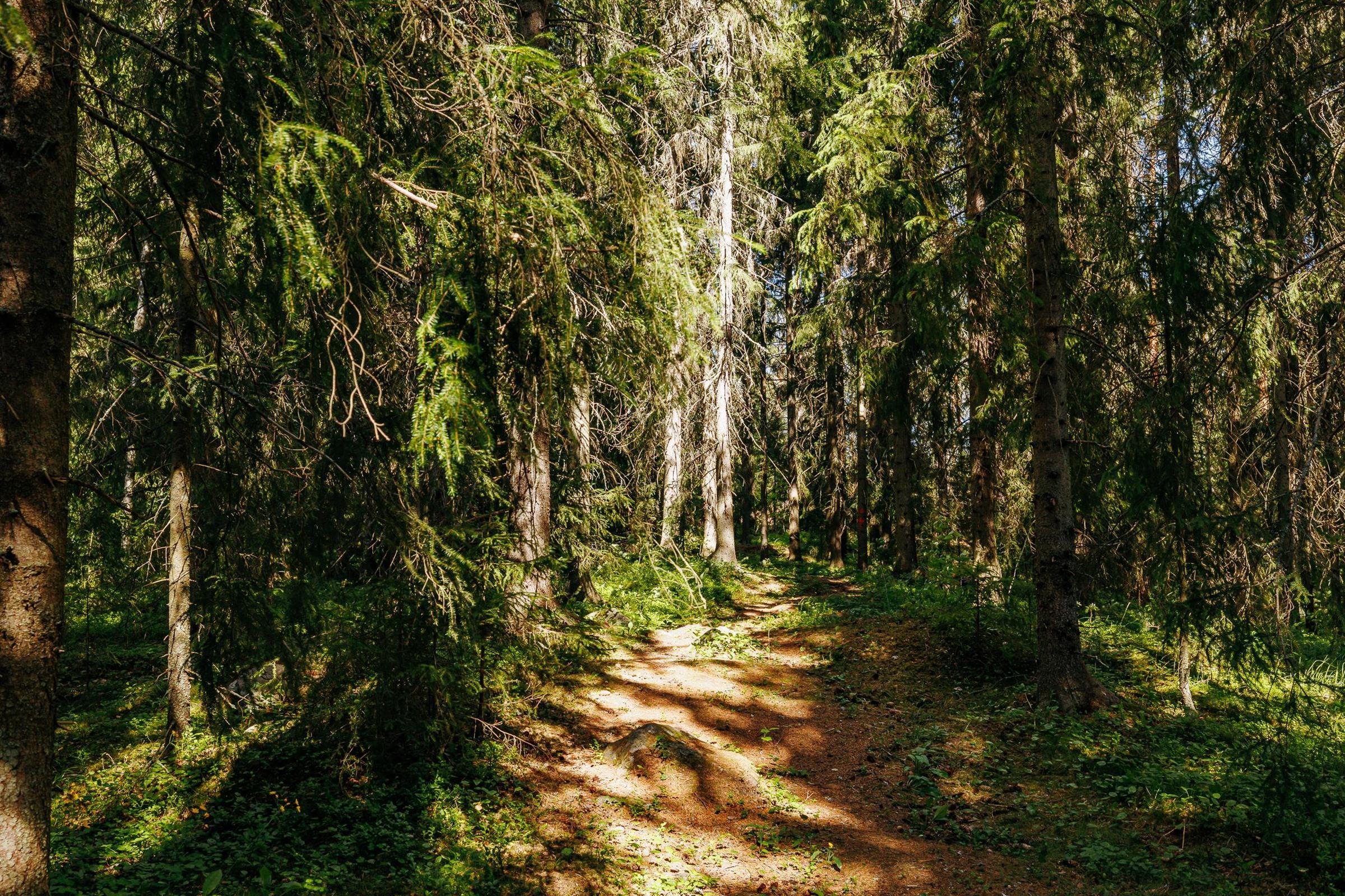 Kohdekuva 24