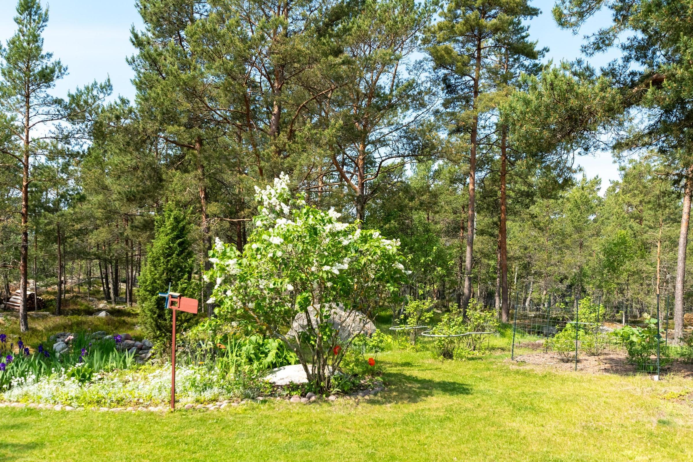 Kohdekuva 31