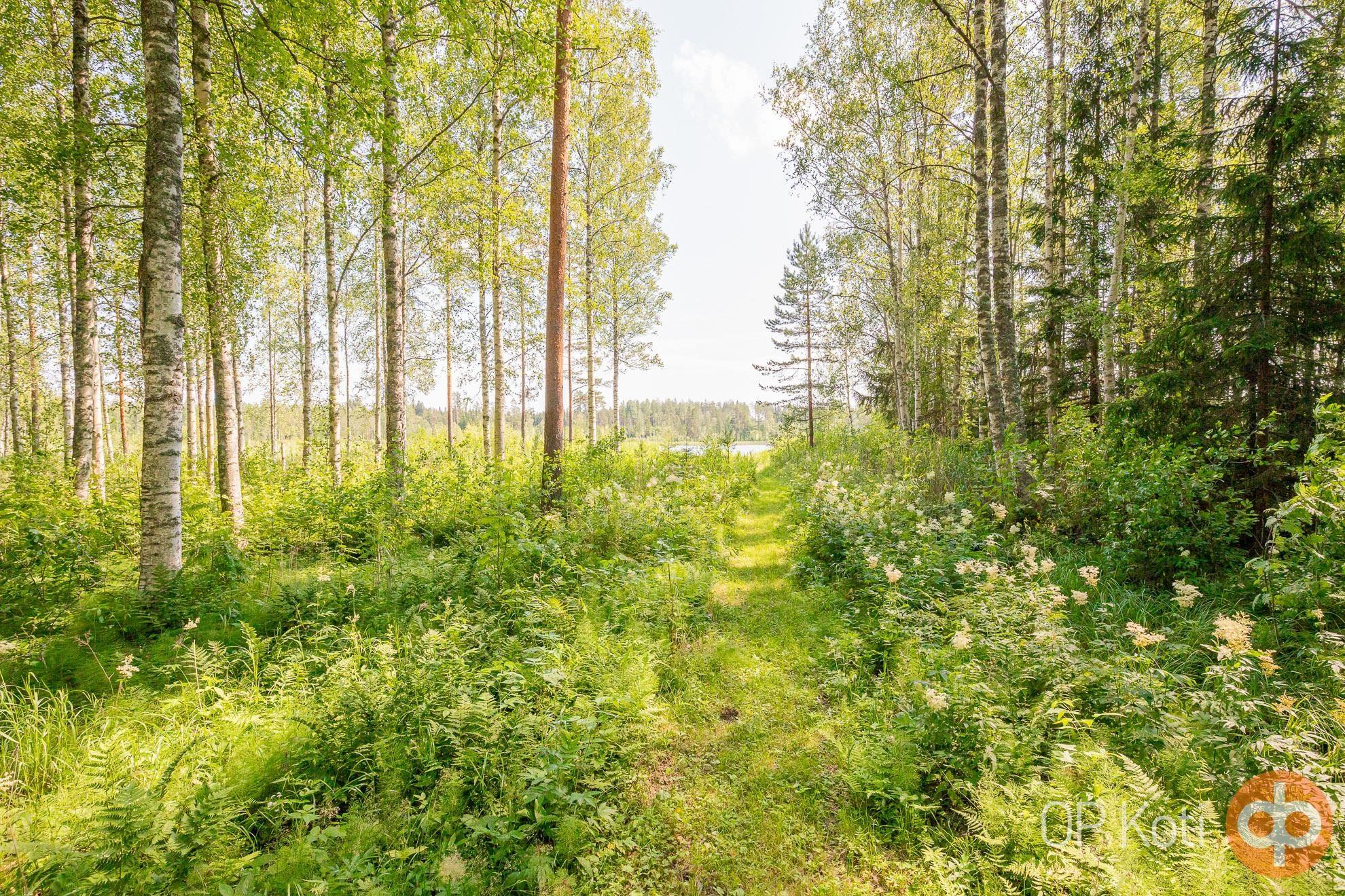 Kohdekuva 26