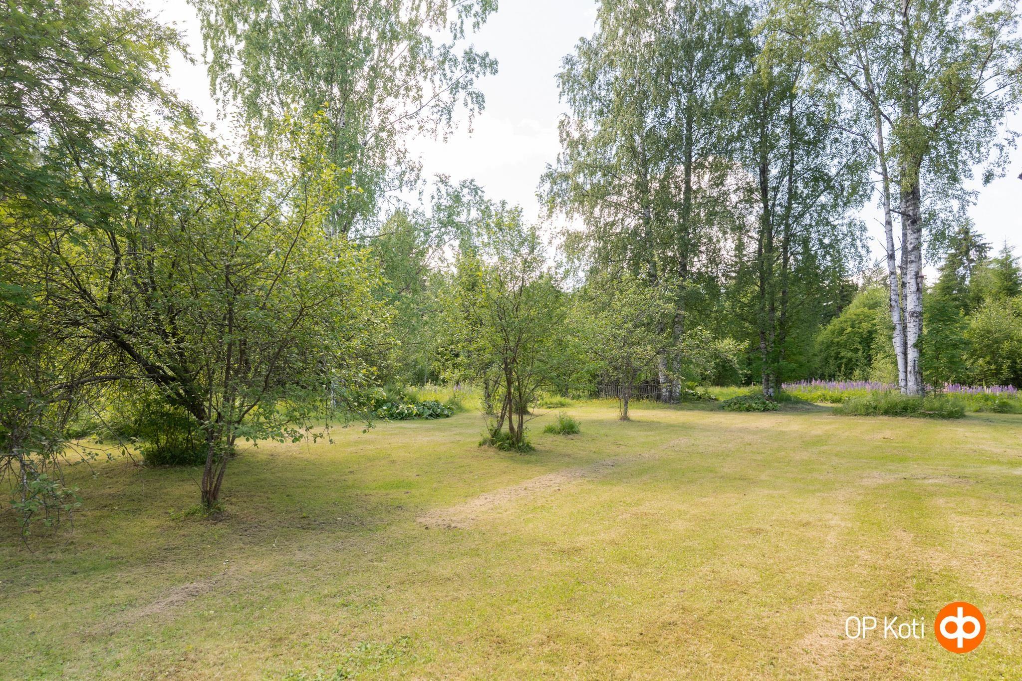 Kohdekuva 5